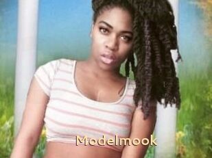 Modelmook