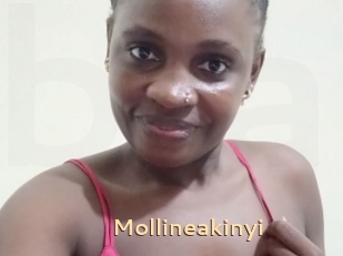 Mollineakinyi