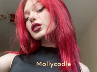 Mollycodle