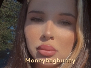 Moneybagbunny