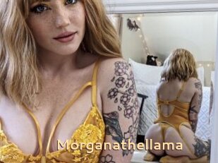 Morganathellama