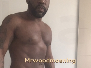 Mrwoodmoaning