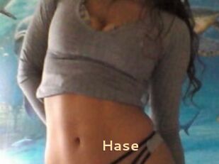 Hase