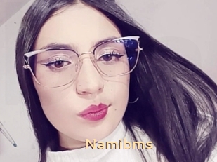 Namibms