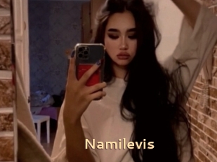 Namilevis