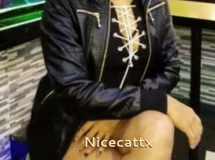 Nicecattx