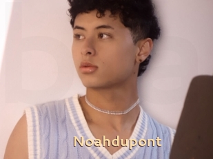 Noahdupont