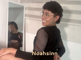 Noahsinn