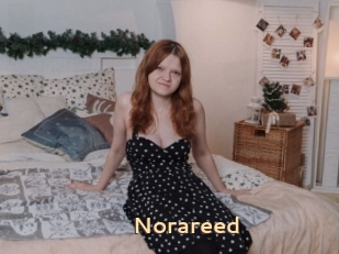 Norareed