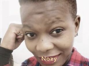 Nozy