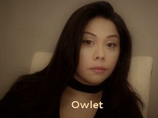 _Owlet_