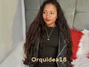 Orquidea18