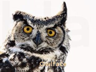 Owlface