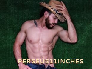 PERSEUS11INCHES