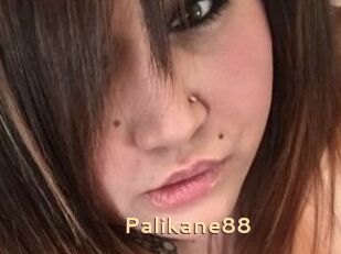 Palikane88