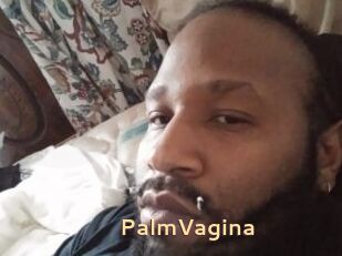 PalmVagina
