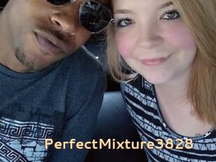 PerfectMixture3828