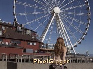 PixelGinger