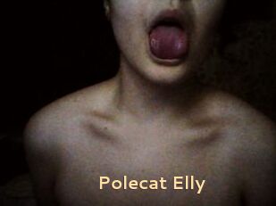 Polecat_Elly