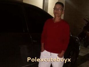 Polexcuteboyx