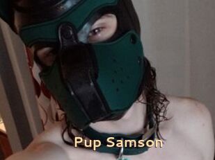 Pup_Samson