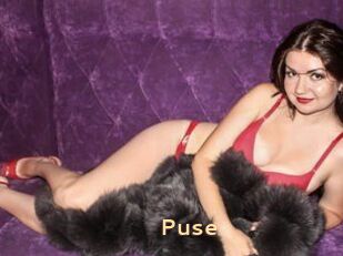 Puse