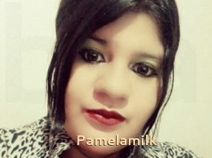 Pamelasuite