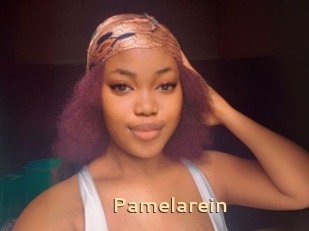 Pamelarein