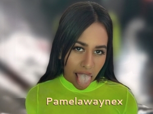 Pamelawaynex