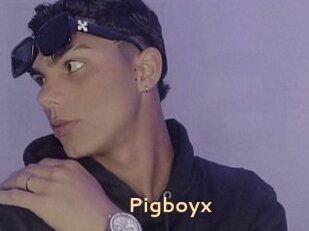 Pigboyx