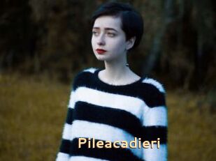Pileacadieri