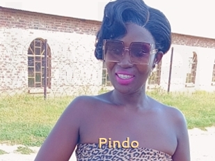 Pindo