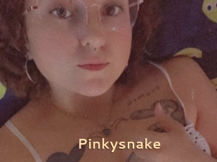 Pinkysnake