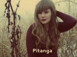 Pitanga