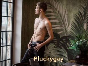 Pluckygay