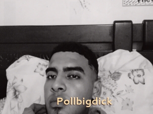 Pollbigdick