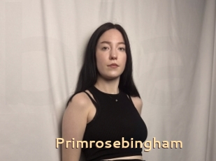 Primrosebingham