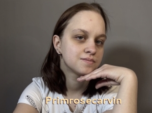 Primrosecarvin