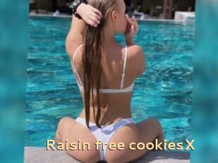 Raisin_free_cookiesX
