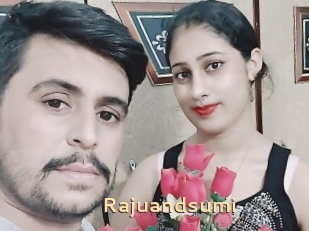 Rajuandsumi
