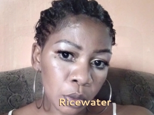 Ricewater