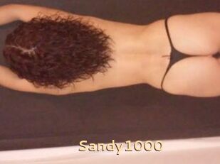 Sandy1000