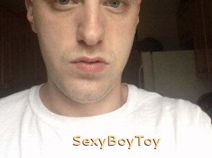 SexyBoyToy