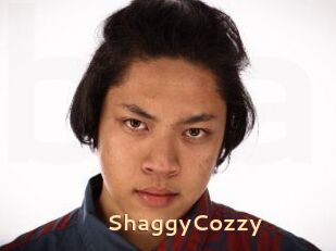 ShaggyCozzy