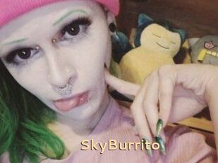SkyBurrito