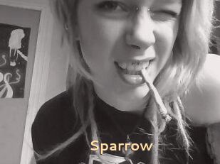 Sparrow