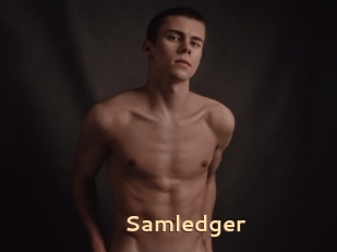 Samledger