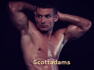 Scottadams