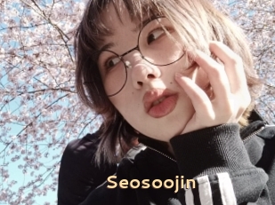 Seosoojin