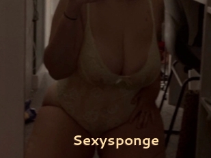 Sexysponge